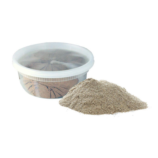 CHEBE POWDER - 7 OZ. (113 GRAMS) Cathy,s new look